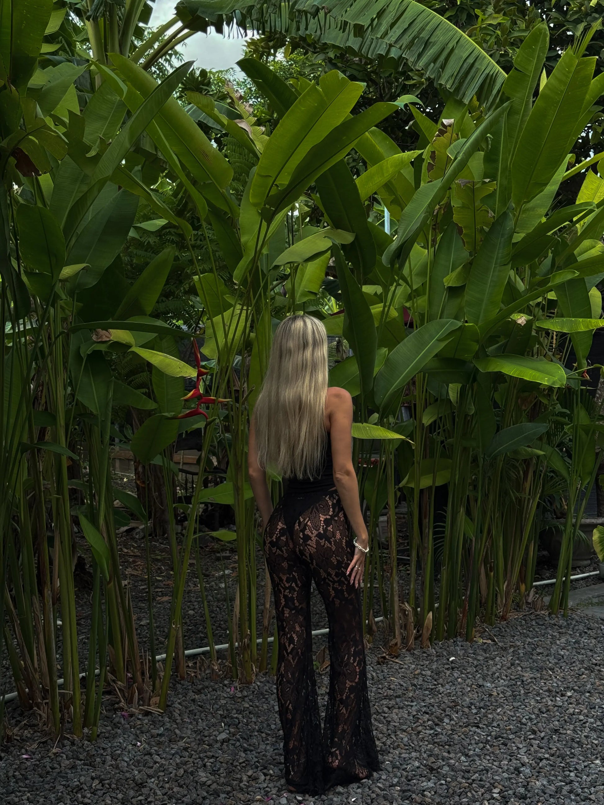 Set: Bodysuit + Lace Pants — Better Together! 15% OFF WHITEDI